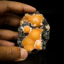Thomsonite Orange Rare Find Natural Mineral Specimen - image 4