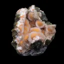 Thomsonite Orange Rare Find Natural Mineral Specimen - image 4