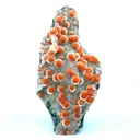 Thomsonite Orange Rare Find Natural Mineral Specimen - image 1