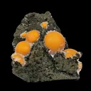Thomsonite Orange Rare Find Natural Mineral Specimen - image 1