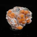 Thomsonite Orange Rare Find Natural Mineral Specimen - image 1