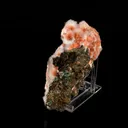 Thomsonite Orange Rare Find Natural Mineral Specimen - image 2