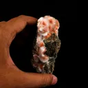 Thomsonite Orange Rare Find Natural Mineral Specimen - image 4