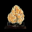 Thomsonite Orange Rare Find Natural Mineral Specimen - image 2