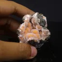 Thomsonite Orange Rare Find Natural Mineral Specimen - image 6