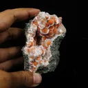 Thomsonite Orange Rare Find Natural Mineral Specimen - image 4