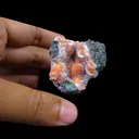 Thomsonite Orange Rare Find Natural Mineral Specimen - image 4