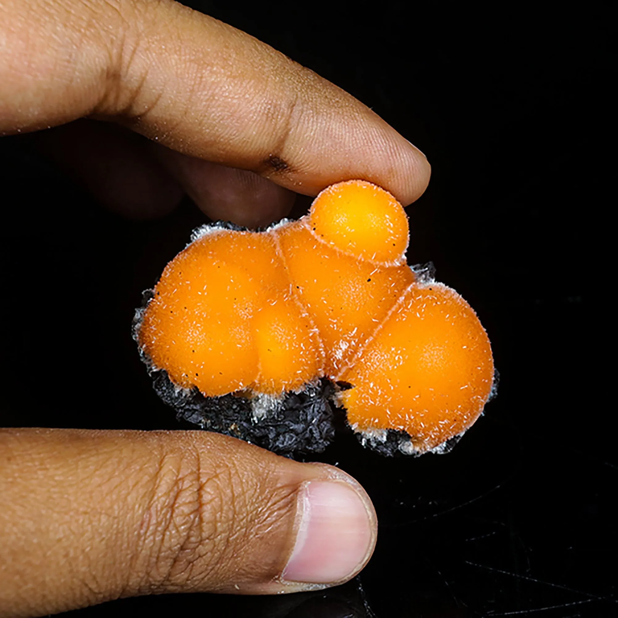Thomsonite Orange Rare Find Natural Mineral Specimen - image 4