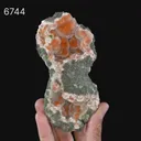 Thomsonite Orange Rare Find Natural Mineral Specimen - image 6