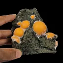 Thomsonite Orange Rare Find Natural Mineral Specimen - image 6