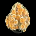 Thomsonite Orange Rare Find Natural Mineral Specimen - image 1