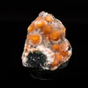 Thomsonite Orange Rare, Free Standing Natural Mineral Specimen - image 1