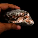 Thomsonite Pink Rare Find Natural Mineral Specimen - image 4