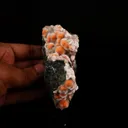 Thomsonite Pink Rare Find Natural Mineral Specimen - image 4