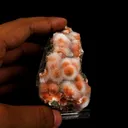 Thomsonite Pink Rare Find Natural Mineral Specimen - image 4