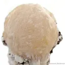 Thomsonite (Rare!) - image 2