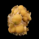 Thomsonite Rare Find Natural Mineral Specimen - image 1