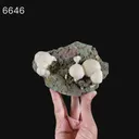 Thomsonite Rare Found in late 1990s Natural Mineral Specimen - image 6