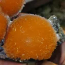 Thomsonite - image 4