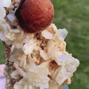 specimen video