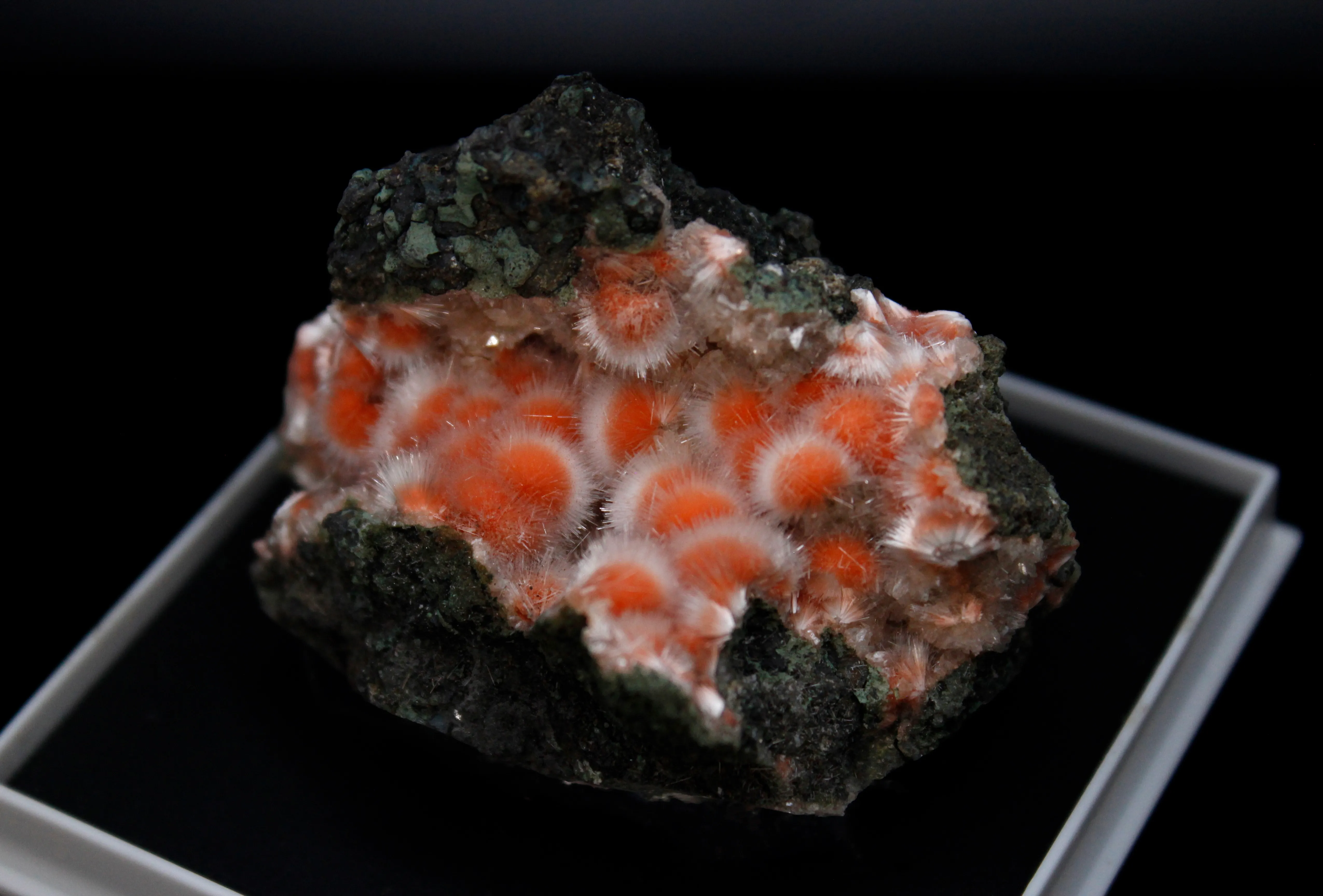 Thomsonite with Mesolite needles - image 1