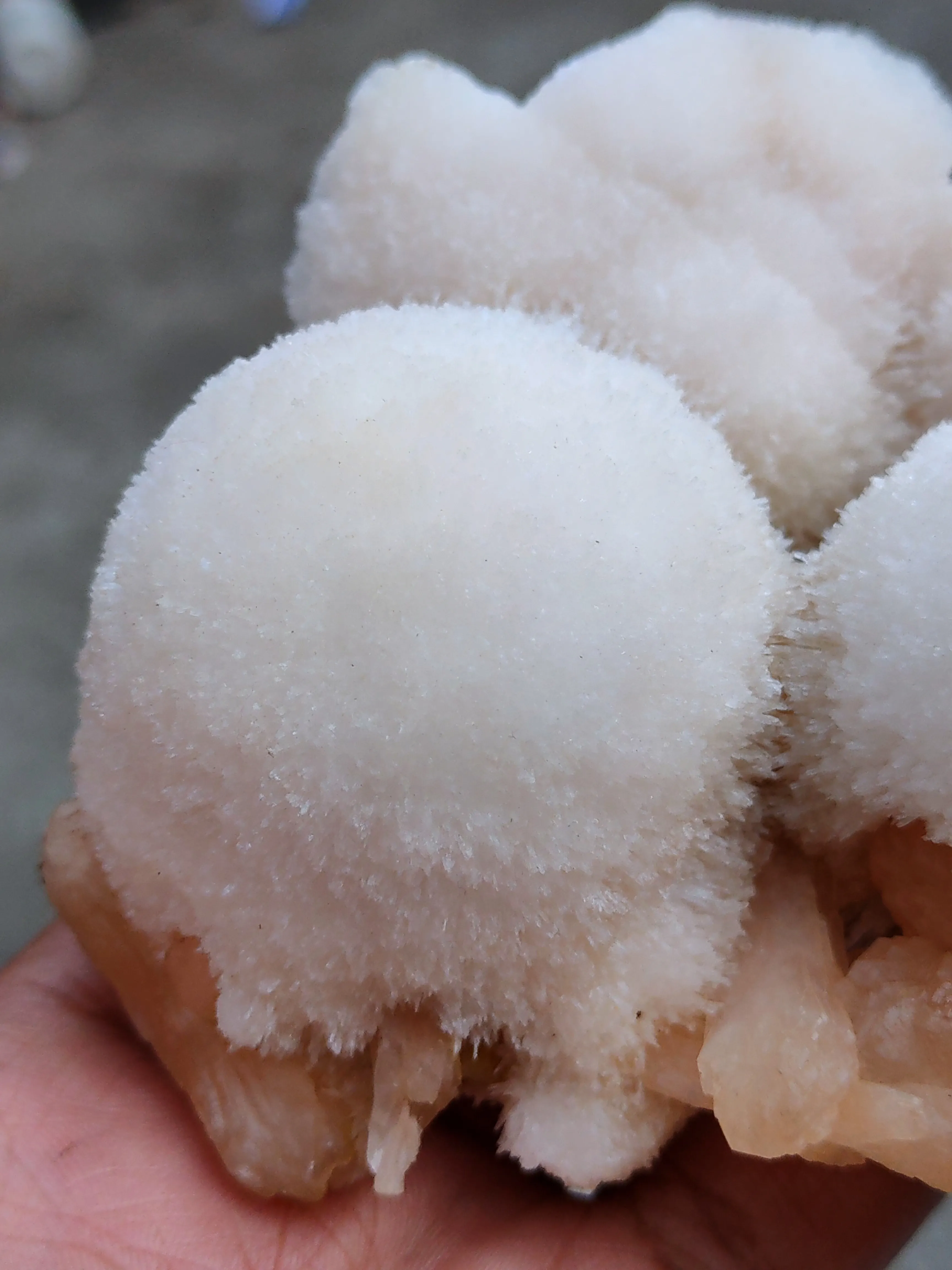 Thomsonite with Stilbite - image 5