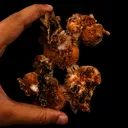 Thomsonite with Stilbite Rare Find Natural Mineral Specimen - image 5