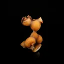 Thomsonite Yellow Color Rare Find Natural Mineral Specimen - image 3