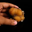 Thomsonite Yellow Color Rare Find Natural Mineral Specimen - image 4