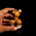 Thomsonite Yellow Color Rare Find Natural Mineral Specimen - image 4