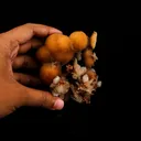 Thomsonite Yellow Color Rare Find Natural Mineral Specimen - image 4