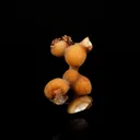 Thomsonite Yellow Color Rare Find Natural Mineral Specimen - image 1