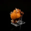 Thomsonite Yellow Colour Rare Find Natural Mineral Specimen - image 2