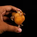 Thomsonite Yellow Colour Rare Find Natural Mineral Specimen - image 4