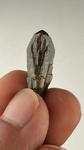 specimen video