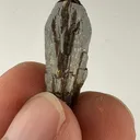 specimen video