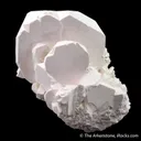 Tincalconite ps. after Borax - image 4