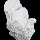 Tincalconite Ps. After Borax - image 3