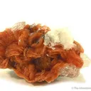 Tinzenite With Quartz - image 1