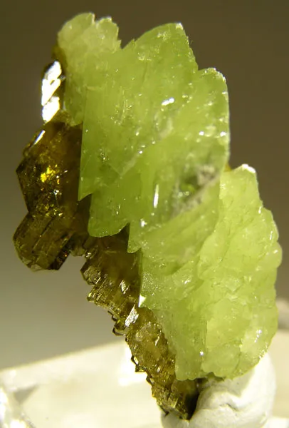 Titanite, Clinozoisite image