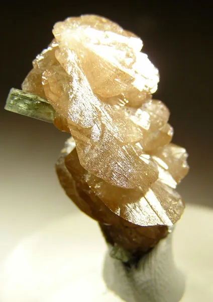 Titanite, Diopside (Var: Chromian Diopside) image