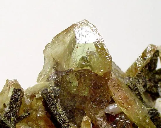 Titanite, Epidote, Albite image
