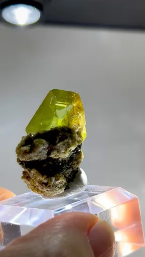 specimen video