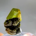 specimen video