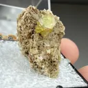 Titanite from Hinterbichl, Tyrol, Austria - image 2