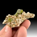 Titanite from Imilchil, Imilchil Caïdat, Imilchil Cercle, Midelt Province, Drâa-Tafilalet Region, Morocco - image 1