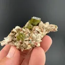 Titanite from Imilchil, Imilchil Caïdat, Imilchil Cercle, Midelt Province, Drâa-Tafilalet Region, Morocco - image 2