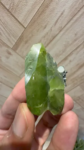 specimen video