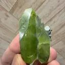 specimen video