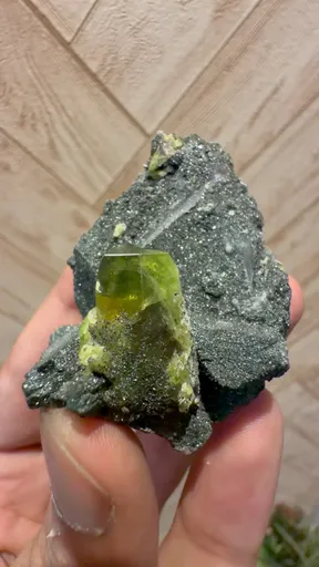 specimen video
